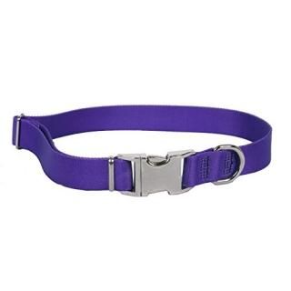 Yellow Dog Design Sterling Solid Purple Collar Medium 14 - 20 1 Wide