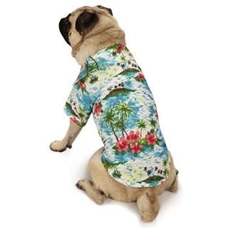 Casual Canine Hawaiian Breeze Camp Shirt for Dogs 14 Small/Medium by Casual Cani