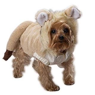 Guardian Gear ZW0822 20 Lil Lion Costumes Large by Casual Canine