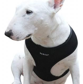 Dogs My Love Soft Mesh Walking Harness for Dogs and Puppies 6 Sizes Black L Neck
