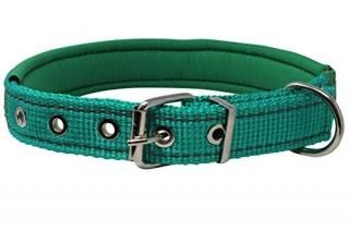 Soft Neoprene Padded Adjustable Reflective 1 Wide Classic Dog Collar Green 3 Siz