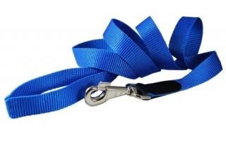 Dog Leash 1 Wide Nylon 6ft Length with Leather Enforced Snap Blue Large