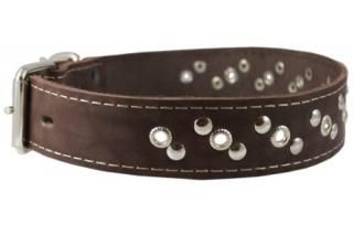 Genuine Leather Studded Dog Collar 22x1 Brown Fits 15-19.5 Neck by Dogs My Love