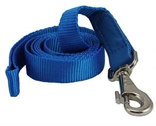 Dog Leash 1 Wide Nylon 5ft Length with Leather Enforced Snap Blue Large