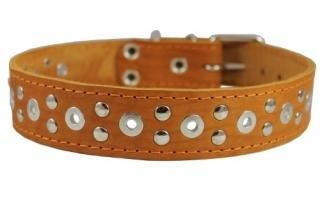 Genuine Leather Studded Dog Collar 22x1 Tan Fits 15-19.5 Neck