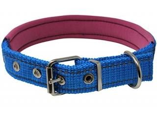 Soft Neoprene Padded Adjustable Reflective 1 Wide Classic Dog Collar Blue 3 Size