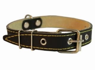 Dogs My Love Genuine Leather Dog Collar 13-19.5 Neck Size 1 Wide Brown