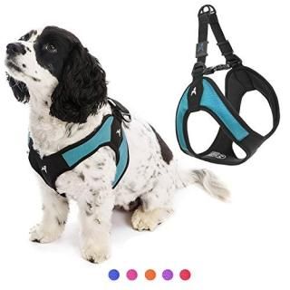 Gooby Escape Free Easy Fit Harness - Turquoise Medium - No Pull Step-in Patented