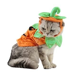 ANIAC Cat Pumpkin Hat Cloak Halloween Custume Cape Poncho for Kitty Small Medium