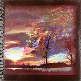 3dRose LLC db_12359_1 ɥ󥰥֥å 8 x 8 ̲