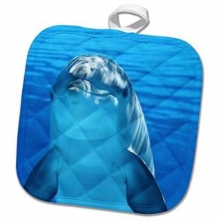 3drose Sven Herkenrath Sealife??֥롼ɥեin the Sealife??Ĥ 8 x 8 phl_236540_1