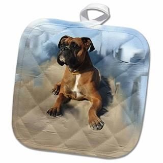 3dRose Pot Holder White 20cm x 20cm