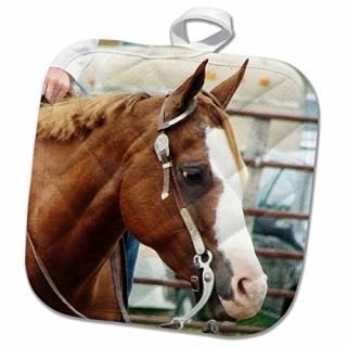 3droseåԡHorses??Western Horse Show??Ĥ 8 x 8 phl_240270_1