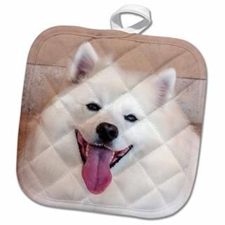 3drose Danita Delimont????American Eskimo Dog Lying On The Patio??Ĥ 8x8 Poth