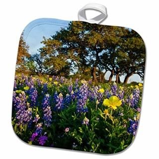 3drose Danita Delimont??꡼Ditto????ƥβ֤ȥ饤֥ҥ??Ĥ 8x8 Potholder phl