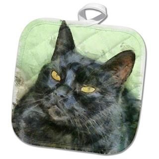 3dRose Taiche - ɮ- ǭ - ǭ - Ĥ 8x8 Potholder phl_264430_1