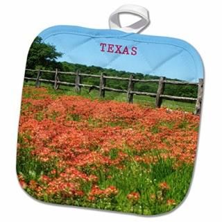 3dFlorene America The Beautiful??᡼Texas Paintbrushβ֤ιե??Ĥ 8x8 Pot