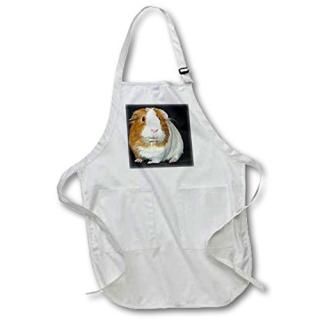 Apr 1061?Guinea Pig??Guinea Pig??ץ Black-Full ֥å apr_1061_4