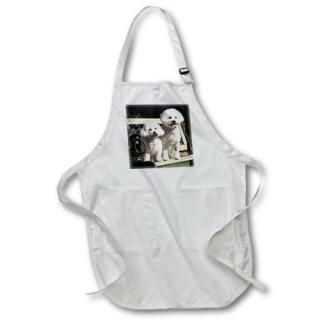 3dRose apr_88774_4 Two Bishon Frise Dog - US05 ZMU0060 - Zandria Muench Beraldo 