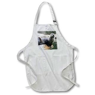 Apr _ 1019?Wild Animals??Otter??ץ Black-Full ֥å apr_1019_4