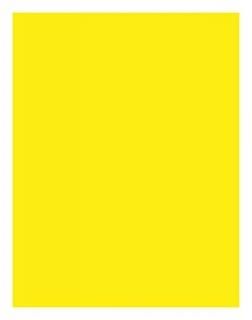 Pacon Corporation PAC104316 Neon Bond Paper- 11kg.- 100 Sheets- 8-.130cm .x28cm 