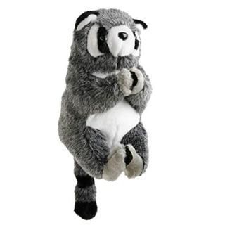 Sahara Raccoon ɥ饤СإåɥС