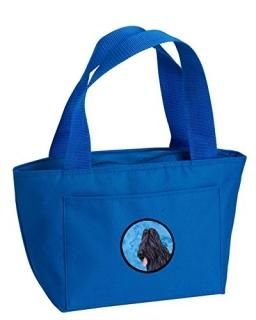 Caroline's Treasures SS4765-BU-8808 Blue Briard Lunch Bag or Doggie Bag SS4765-B