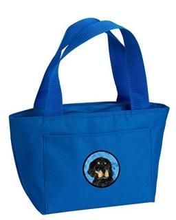 Caroline's Treasures SS4791-BU-8808 Blue Gordon Setter Lunch Bag or Doggie Bag S