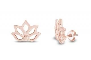 Lotusեåɥ14?K Gold over󥰥С