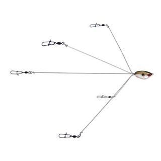 Yum YUmbrella Ķ ޥ륢 5磻䡼ꥰ ƥͥå