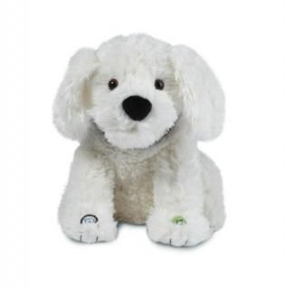 Smarty Ants Phonics Reading Pup White