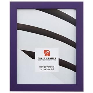 Craig Frames եȥե졼 ̵ 餫ʹž夲 0.875 Ȥɤ 8.5 x 11 ѡץ 1406398511