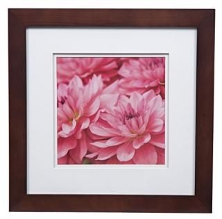 Gallery Solutions եȥե졼 5x7 եå ʥå ޤϥե졼 ۥ磻ȥޥå2դ 4x6μ̿ 5