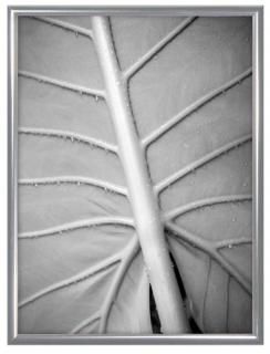 MCS 9x12 ꡼ߥե졼 С 44921