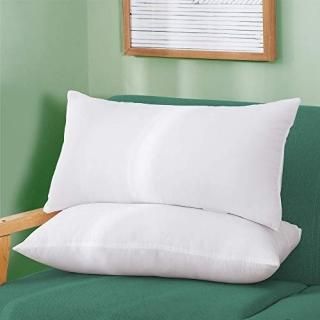 Acanva 12x20 Set of 2  Soft Premium Throw Pillow Inserts with Microfiber Filled 