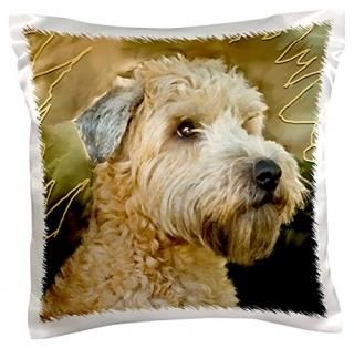 եȥƥ󥰥ȥƥꥢ??եȥƥ󥰥ȥƥꥢ?? 16x16 inch Pillow Case pc_4808_1
