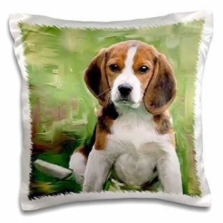 3dRose pc_4020_1 ӡҸԥ 16 x 16