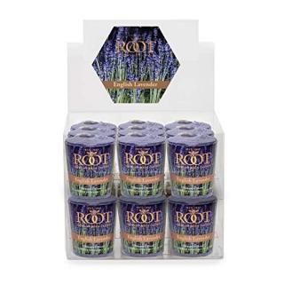 English Lavender - Root Legacy 20-Hour Beeswax Votive Candles 18-Pack English La