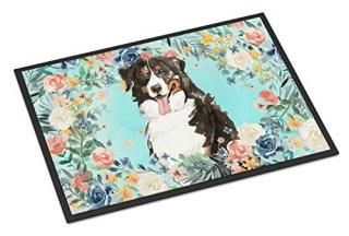 Caroline's Treasures Сˡޥƥɥå ⳰ޥå 18x27 ɥޥå ޥ顼