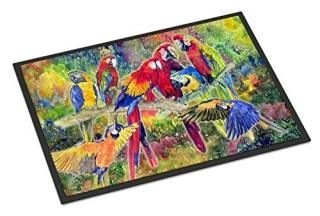 Caroline 's Treasures Parrotޤϲɥޥåȡ24? x 36ޥ顼