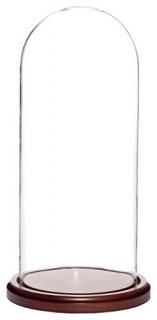 Walnut Base - Plymor Brand 14cm x 33cm Glass Display Dome Cloche Walnut Base