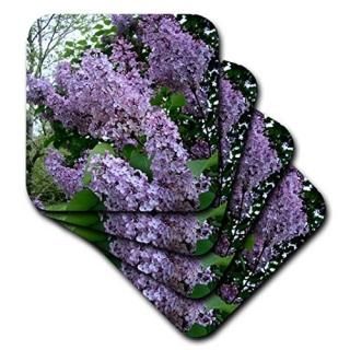 ??饤å?? set-of-4-Ceramic ѡץ cst_3139_3