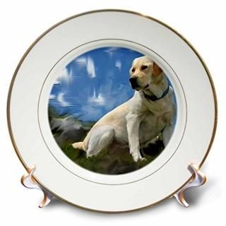 CP 3986?Dogs Labrador Retriever??֥ɡȥС??ץ졼 8 inch Porcelain Plate cp_398
