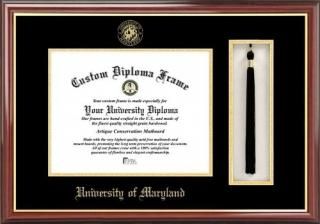 Campus Images MD998PMHGT ꡼إåܥå´Ⱦڽե졼 13 x 17