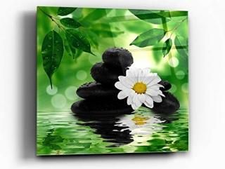 CortesiۡPeacefulȿII饹ɥȡ12? x 12?