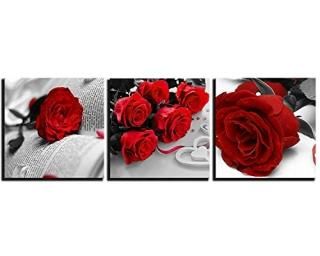 NAN Wind Хץ 3ԡ  å  Х    ɥ ǥ졼   Х ۡǥ