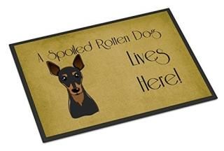 Caroline's Treasures BB1488MAT Min Pin Spoiled Dog Lives Here Indoor or Outdoor 