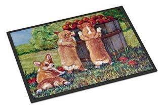 Caroline's Treasures 7351JMAT Apple Helper Corgis Indoor or Outdoor Mat 24x36 24