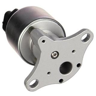 Delphi EG10176 EGR Valve
