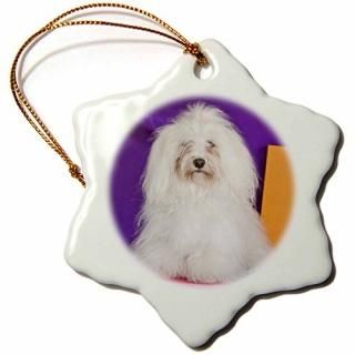 3drose Orn 142946?_ 1?AϥХˡdog-us05?zmu0276-zandria Muench beraldo-snowflake